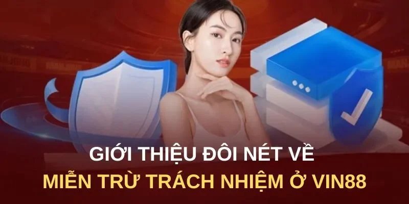 Giới thiệu đôi nét về miền trừ trách nhiệm ở Vin88