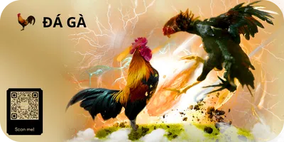 đà gà Vin88
